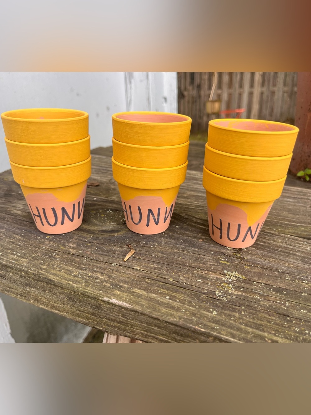 9 Mini “Hunny” Painted Plant Pots